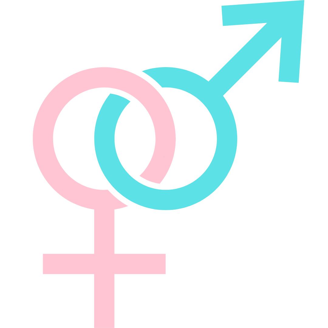 Alt Image